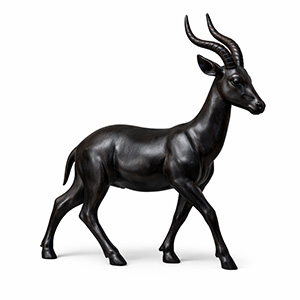 Antelope